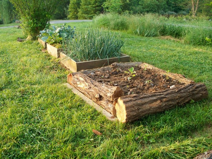 Originální nápady na dřevěné dekorace: 50+ elegantních inspirací