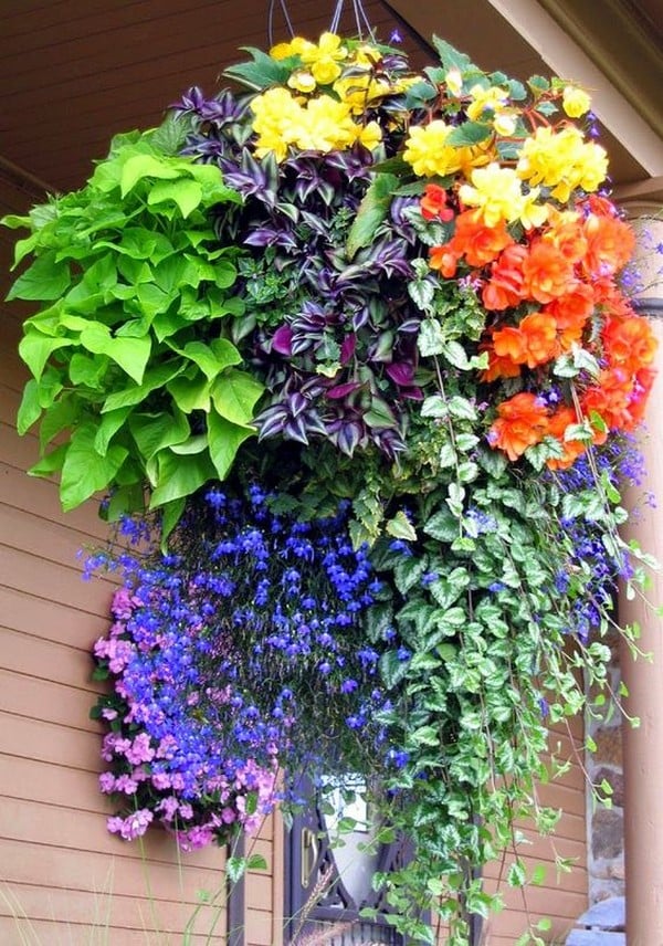 Závěsné záhony na zahradě: 40 barevných nápadů pro novou sezónu