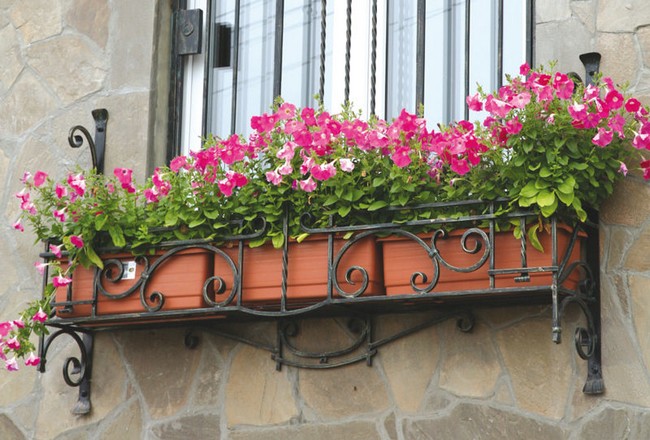 Kované okenní držáky na květiny – 45+ elegantních inspirací pro vaše okna