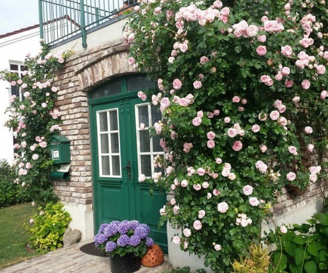 Krásná a květinová fasáda domu vlastníma rukama: 54 nápadů pro inspiraci