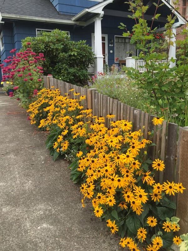 Proměna zahrady v botanický ráj: 45 nápadů na květiny