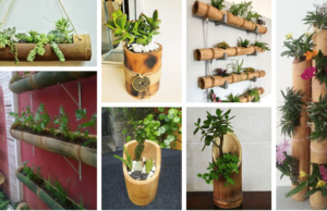 tip na originální a vkusný květináč – využijte bambus!