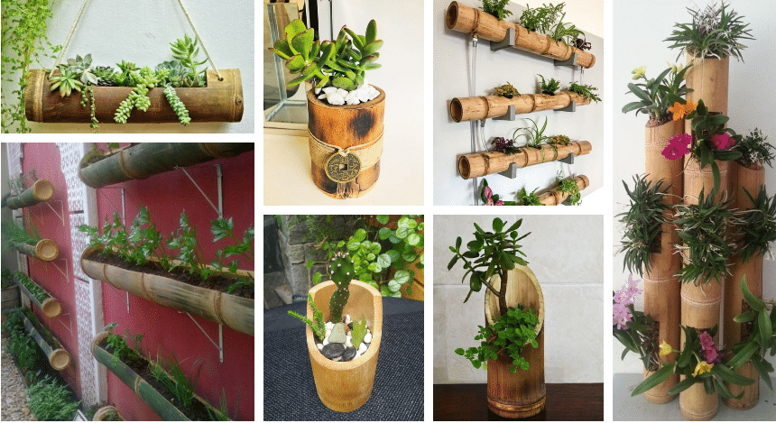 tip na originální a vkusný květináč – využijte bambus!