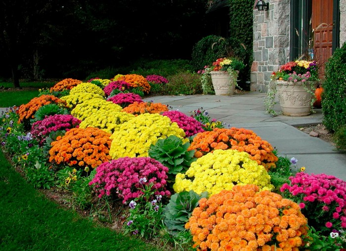 Ozdobte vchod trvalkovými květinami a keři: 45 super nápadů