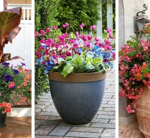 Květinový dvorek vlastníma rukama: 40 krásných nápadů