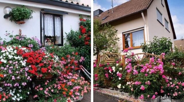 Květinový dvorek vlastníma rukama: 40 krásných nápadů