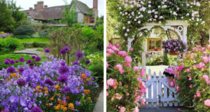 50 pestrých nápadů na květinovou zahradu vlastníma rukama 50 pestrých nápadů na květinovou zahradu vlastníma rukama