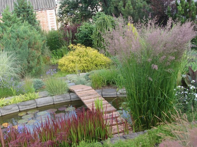Okrasné trávy: 60 nápadů na originální obilnou zahradu
