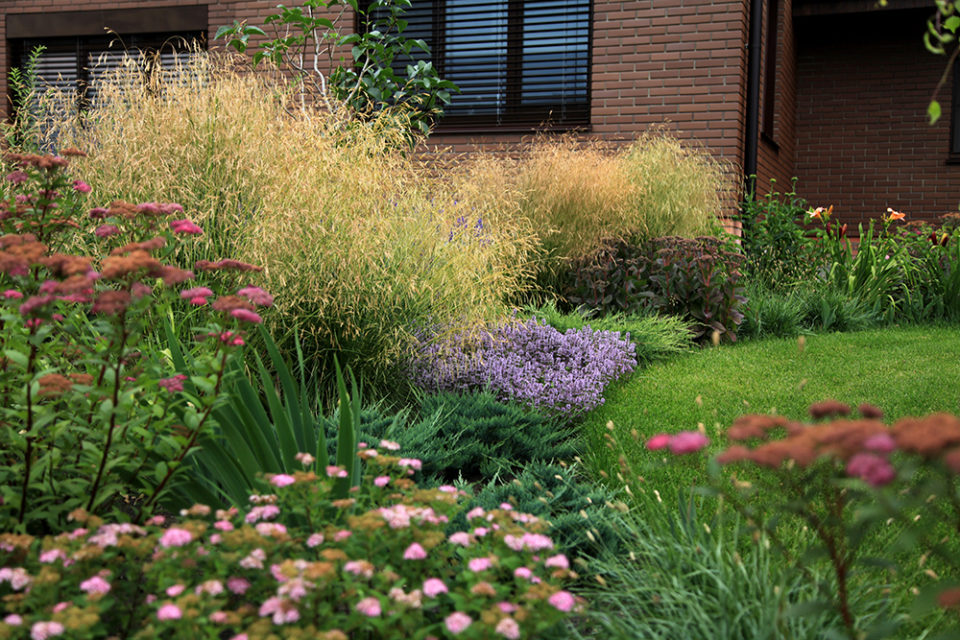 Okrasné trávy: 60 nápadů na originální obilnou zahradu