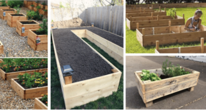 Vzali jsme dlouhé dřevěné latě a vyrobili z nich krásné květináče – Inspirujte se! vzali jsme dlouhé dřevěné latě a vyrobili z nich krásné květináče – inspirujte se!