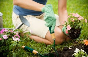 tipy, jak pečovat o svou zahradu a dočkat se díky tomu bohaté úrody