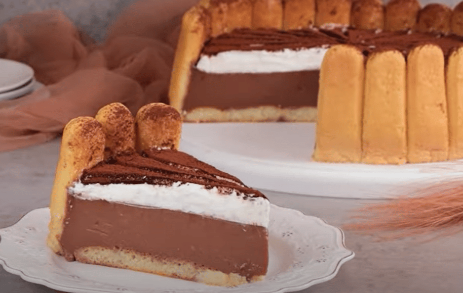 lahodný piškotový dort s fantastickým krémem a kakaem – ideální dezert ke kávě!