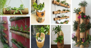 Vzali jsme obyčejný bambus a přetvořili jej v krásný a originální květináč! vzali jsme obyčejný bambus a přetvořili jej v krásný a originální květináč!