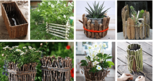 Obyčejné dřevo, jako skvělý doplněk vašich rostlin a květináčů: 20+ super inspirací! dřevo, jako skvělý doplněk vašich rostlin a květináčů: 20+ super inspirací!