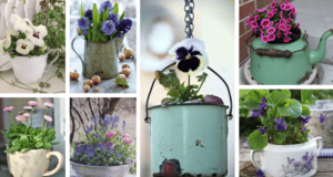 staré hrnce, lavory a hrnečky přetvořili v krásné a originální květináče: inspirujte se!