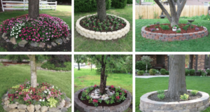 Jednoduchý způsob, jak zkrášlit nevzhledné okolí stromů na vaší zahrádce jednoduchý způsob, jak zkrášlit nevzhledné okolí stromů na vaší zahrádce