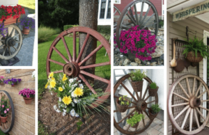 krásné zahradní dekorace ze starého, dřevěného kola – inspirujte se