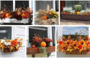 zkrášlete si své okno tímto kouzelným podzimní nápadem: 20+ skvělých inspirací