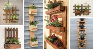 Vyrobte si jeden z těchto originálních nástěnných květináčů – Už žádné holé zdi! vyrobte si jeden z těchto originálních nástěnných květináčů – už žádné holé zdi!