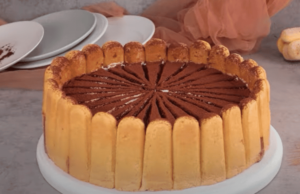 vynikající krémový dort s piškoty a kakaem – vyzkoušejte tento nepečený dezert