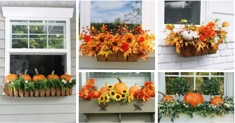 20+ podzimních inspirací na zkrášlení venkovního okna: inspirujte se touto nádherou!