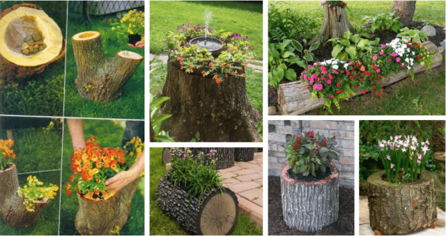 inspirace pro zahrádkáře: kmen stromu, jako skvělý květináč a skvost vaší zahrady!