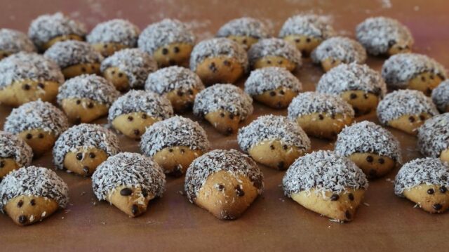 Vánoční ježcci - sváteční cukroví, které potěší malé i velké