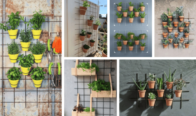 inspirace pro vaše květiny – využijte železné mřížky a tyčky