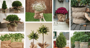 Ochraňte své rostliny před zimou a mrazem pomocí pytloviny: 20+ skvělých nápadů, jak na to! ochraňte své rostliny před zimou a mrazem pomocí pytloviny: 20+ skvělých nápadů, jak na to!