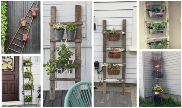 proměnili obyčejný žebřík v krásnou, květinovou dekoraci – inspirujte se těmito výtvory!