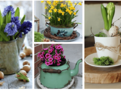 květinový ráj: jak udělat ze starého nádobí originální květinovou kompozici!