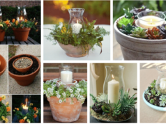 nechte svíčky a rostliny vytvořit dokonalou atmosféru: 20+ super inspirací!