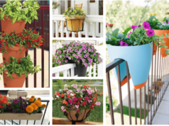 vytvořte si pohádkový ráj na balkoně či terase pomocí květinových dekorací!