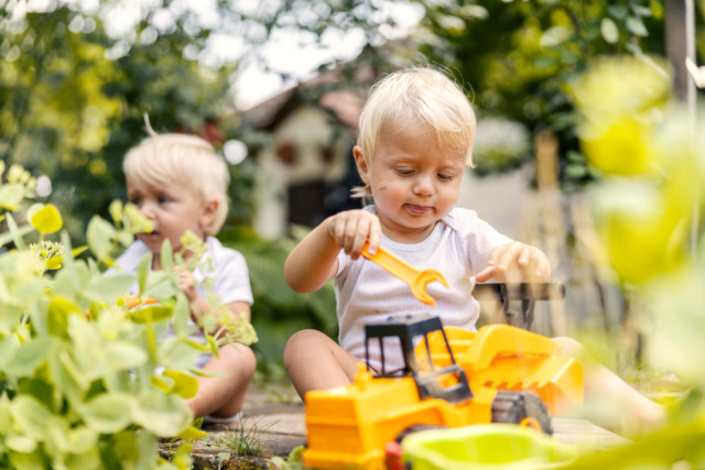 playing-garden-with-plastic-excavator-game digitalizace si našla cestu do mnoha oblastí. to platí i pro pojišťovnictví. online pojištění a srovnávací portály jsou na webu všudypřítomné. a protože se tato nabídka bude pravděpodobně v příštích několika letech dále výrazně rozvíjet, pojďme se jí podívat na zoubek.