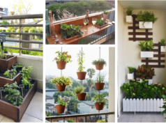 přeměňte svůj balkon v květinový ráj s těmito nápady na zahradničení!