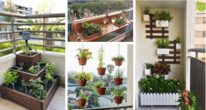 přeměňte svůj balkon v květinový ráj s těmito nápady na zahradničení!