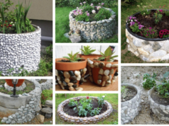 z malého kamení velká věc: kreativní způsoby, jak využít drobné kameny v zahradě