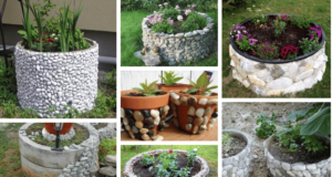 z malého kamení velká věc: kreativní způsoby, jak využít drobné kameny v zahradě