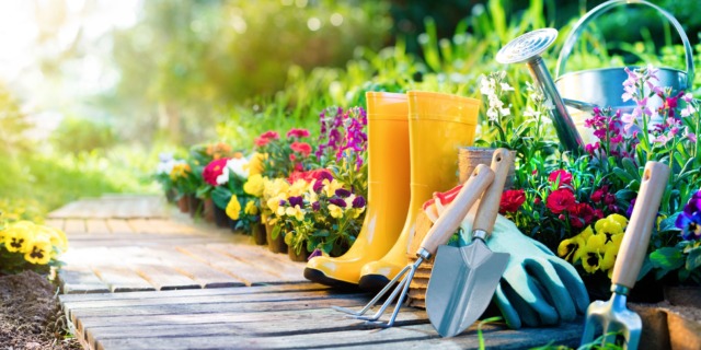 gardening-1521662873 ekologické zahradnictví: průvodce pěstováním rostlin bez chemikálií