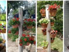 svislá květinová dekorace: trendy způsob, jak zkrášlit vaši zahradu!