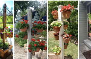 svislá květinová dekorace: trendy způsob, jak zkrášlit vaši zahradu!