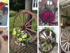 zahradní klenot: kreativní způsoby využití starého dřevěného kola: 20+ prima inspirací