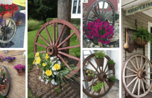 zahradní klenot: kreativní způsoby využití starého dřevěného kola: 20+ prima inspirací