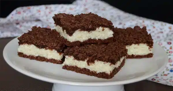 recept inspirace k odpolední kávě: kakaová buchta s tvarohovou náplní