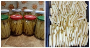 Recept na zavařované kukuřičky, které Vám vydrží celý rok