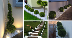 Inspirace na využití bílého kačírku na vaší zahrádce: 20+ super nápadů, jak na to!
