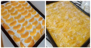 Recept na osvěžující žravé řezy