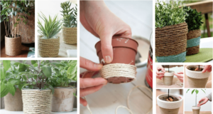 Jednoduché zkrášlení vašich zašedlých květináčů – Postačí nám obyčejný provázek!