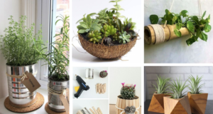20+ netradičních květináčů, které ještě více zkrášlí váš domov!
