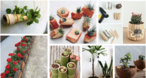 Kreativitě se meze nekladou: 20+ netradičních květináčů pro vaši domácnost a zahradu!
